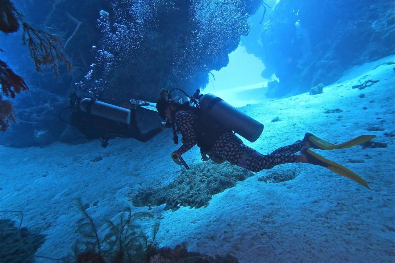 Bed and breakfast Coco & Breakfast Cozumel